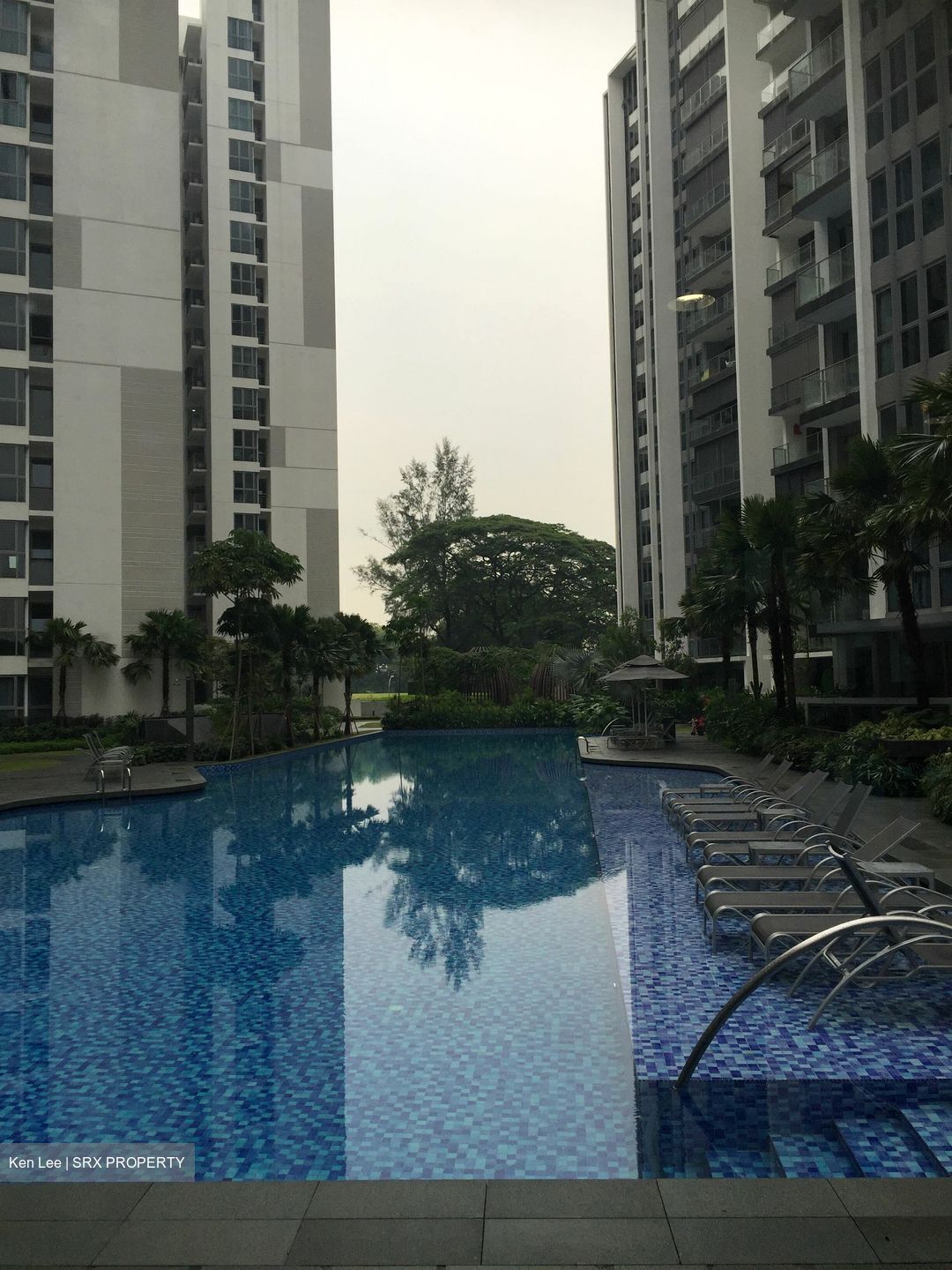 Bartley Ridge (D13), Condominium #560450941